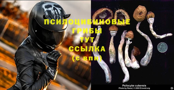 спиды Балабаново